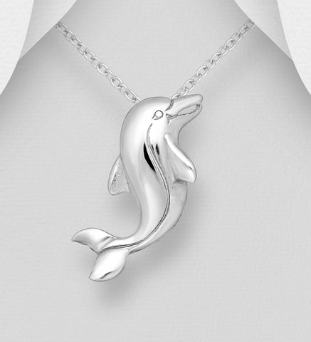 Dolphin Pendant & Chain