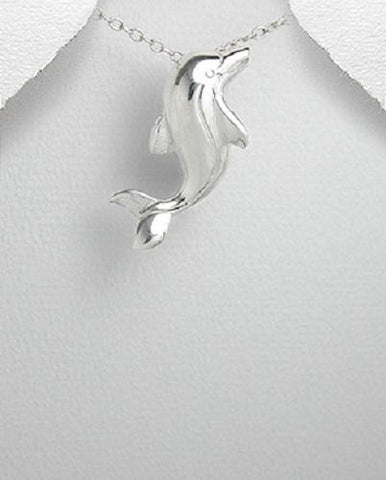 Dolphin Pendant & Chain